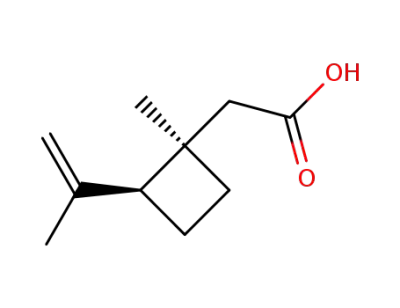 cis-1-methyl-2-(1-methylethenyl)-cyclobutaneacetic acid